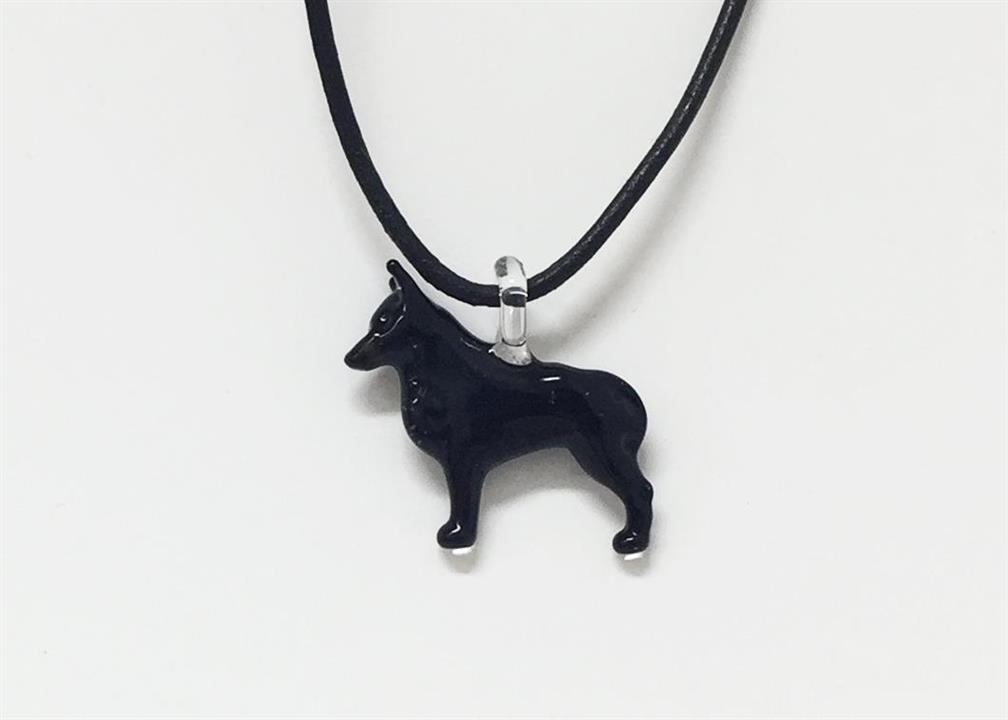 1fci schipperke
