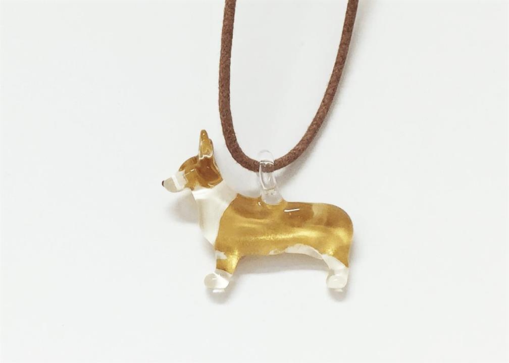 1fci welsh corgi-pembroke