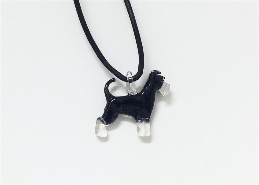 2fci schnauzer-miniature