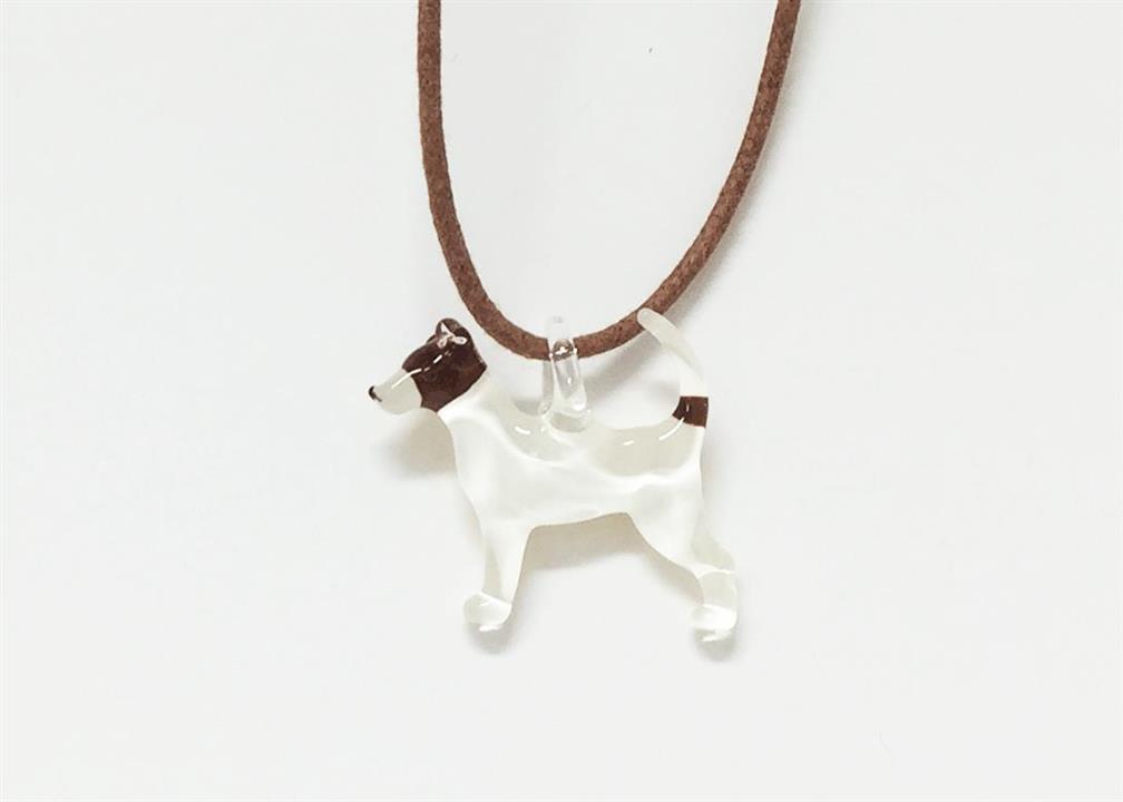 3fci jack russell terrier