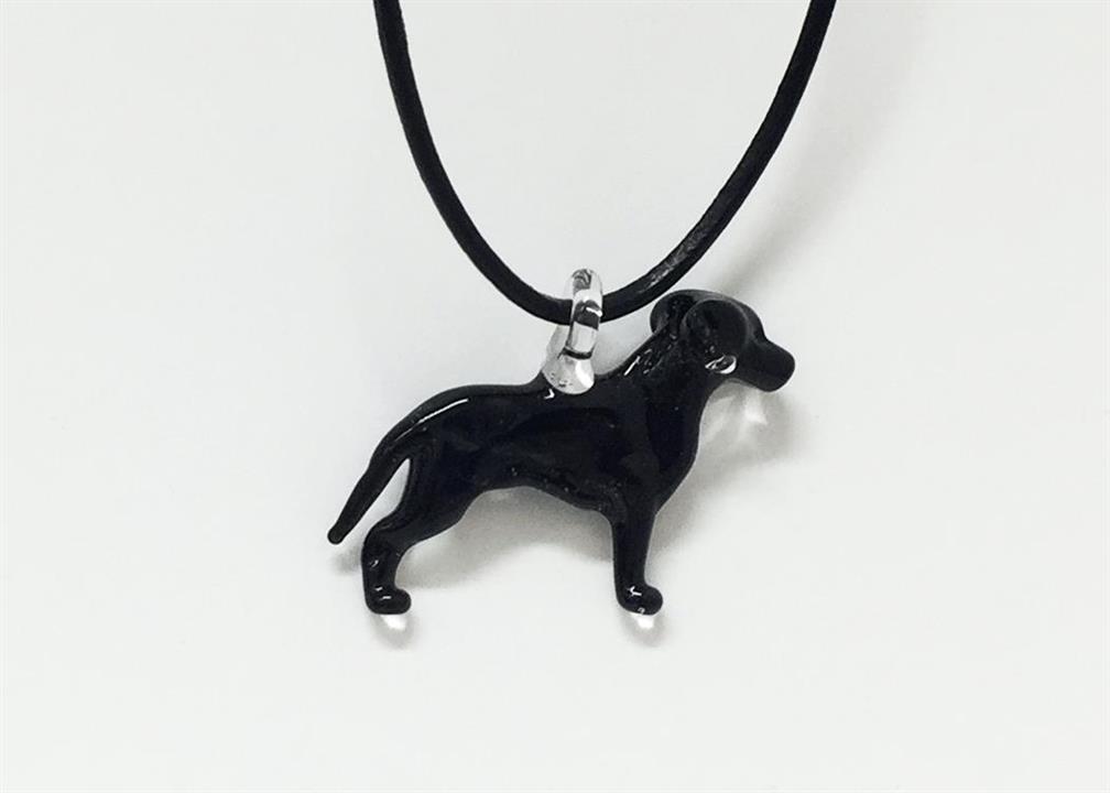 8fci labrador retriever2