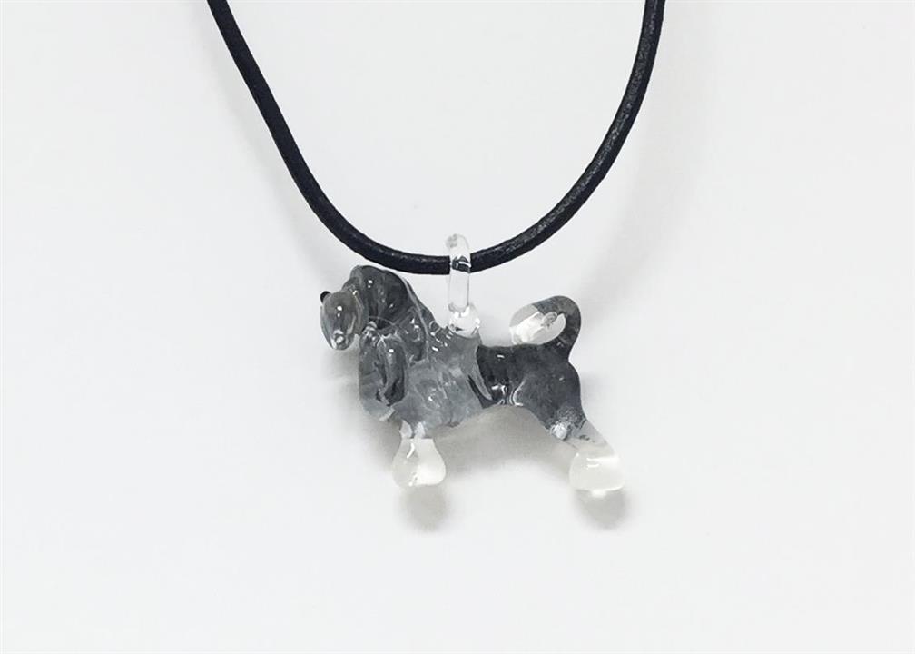 9fci löwchen-little lion dog