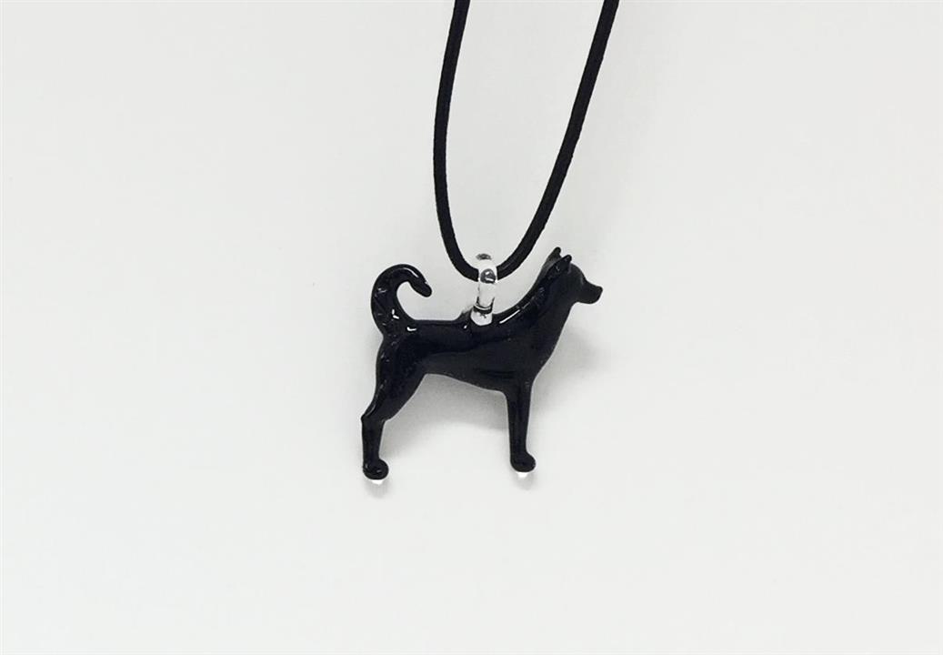 kai-dog