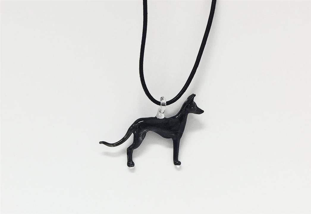 mexican-hairless-dog
