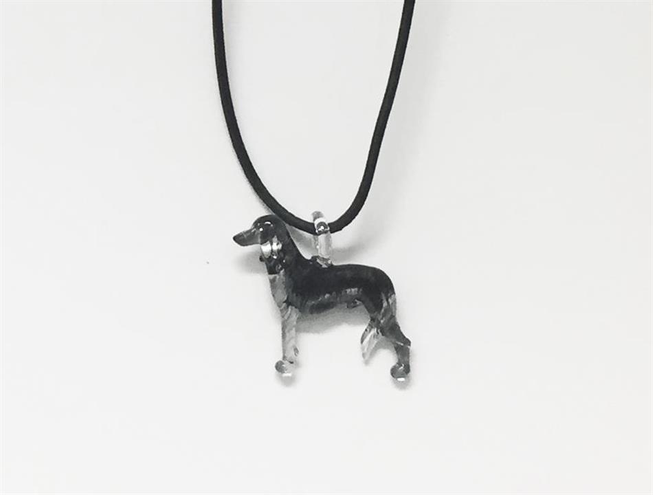 saluki-img_4684