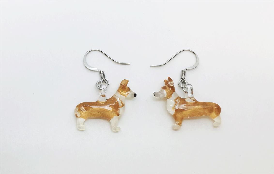welsh-corgi-pembroke-img_4411