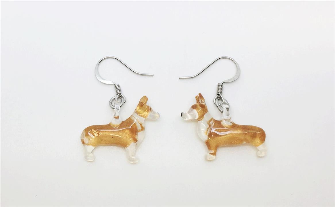 welsh-corgi-pembroke-img_4412