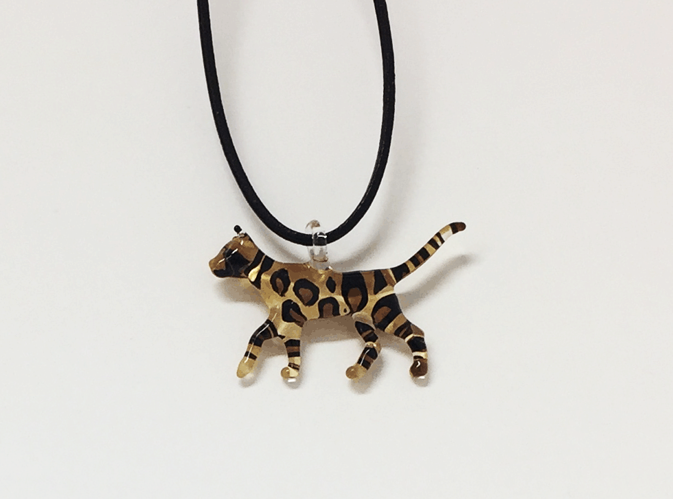 bengal-cats-img_4111