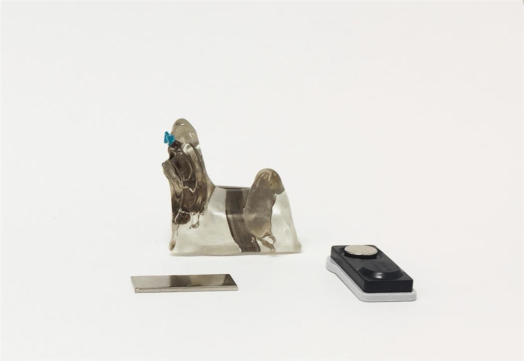 shih tsu magnet 1
