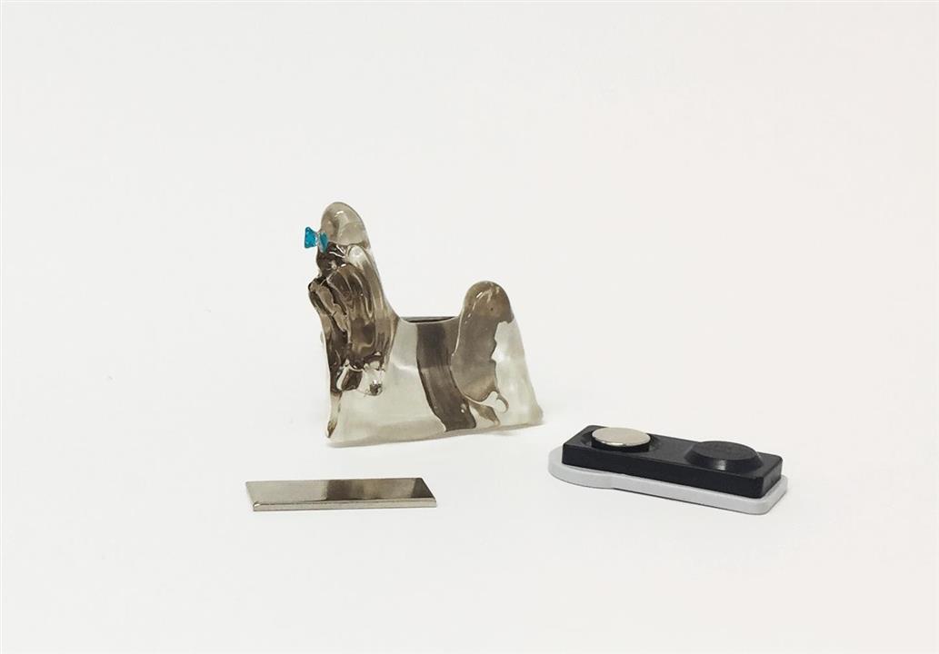 shih tsu magnet 2